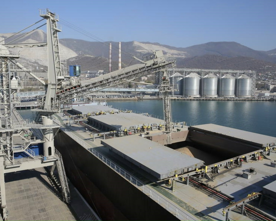 С июля 2025 года по январь 2026 года Россия поставила в Египет 5,28 млн т пшеницы, весь объем импорта в страну — 8,8 млн т. При этом Россия является главным…