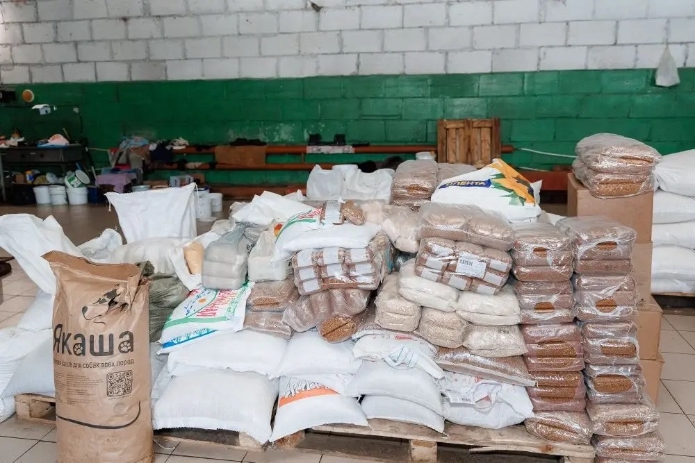 День добрых дел Молодёжь Пермского завода ЛУКОЙЛа провела благотворительную акцию в поддержку приюта для собак.