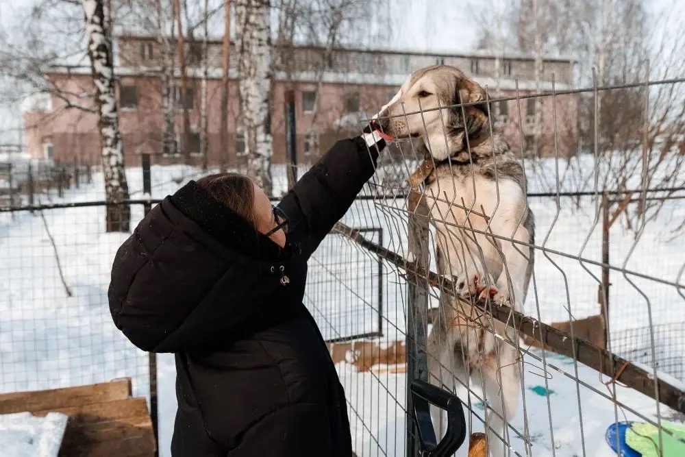 День добрых дел Молодёжь Пермского завода ЛУКОЙЛа провела благотворительную акцию в поддержку приюта для собак.