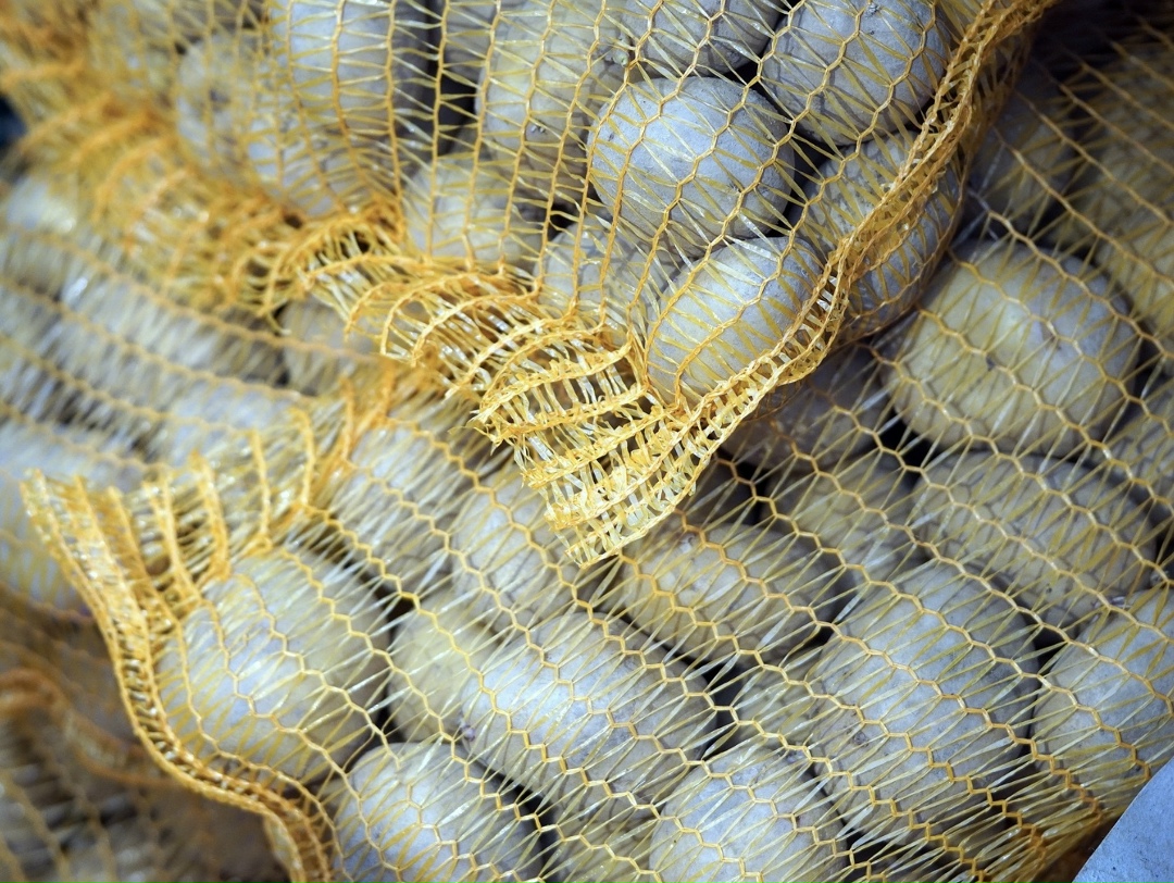 В январе-феврале текущего сезона в нашу страну было поставлено около 40-50 тыс. т картофеля, из которых по 10 тыс. т приходится на Египет и Китай,…