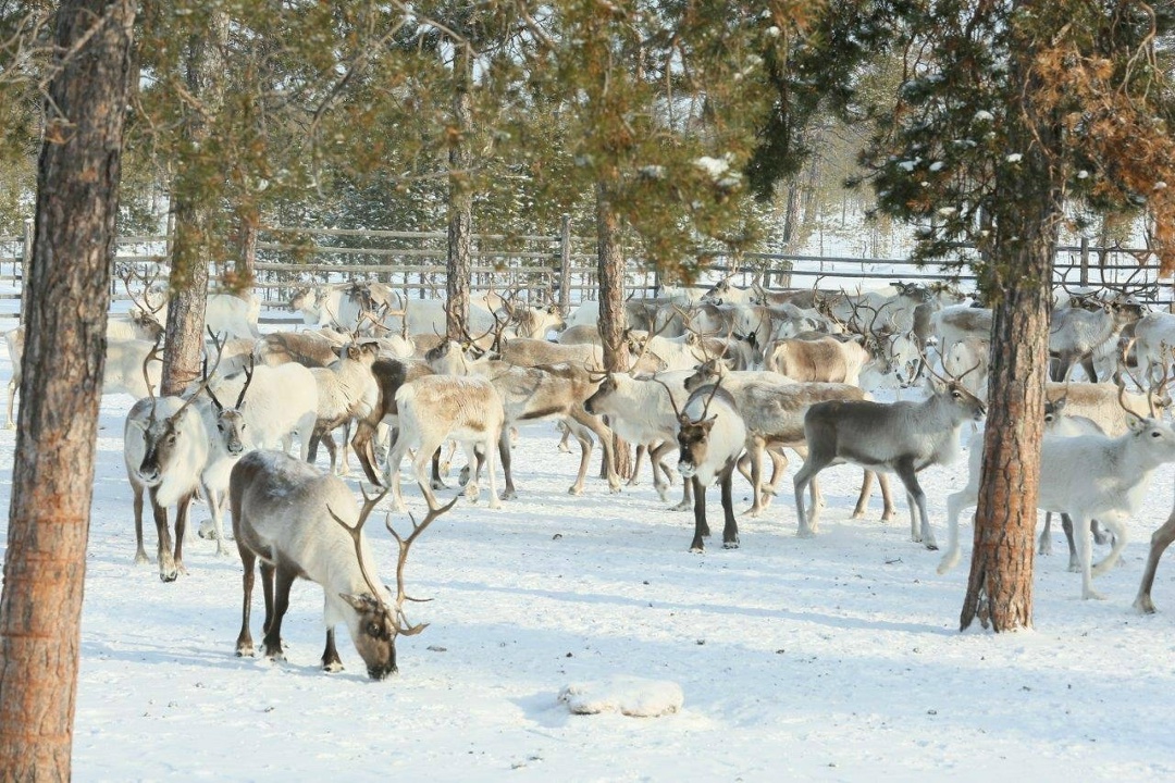 Когалым вошёл в число лучших этно‑индустриальных маршрутов страны