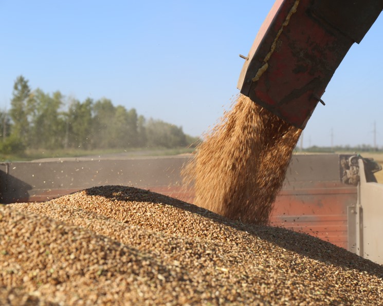 В прошлом году сельхозпроизводители реализовали 67,4 млн т зерновых и зернобобовых агрокультур, что на 13,8% меньше, чем в 2024-м (78,3 млн т), сообщает…