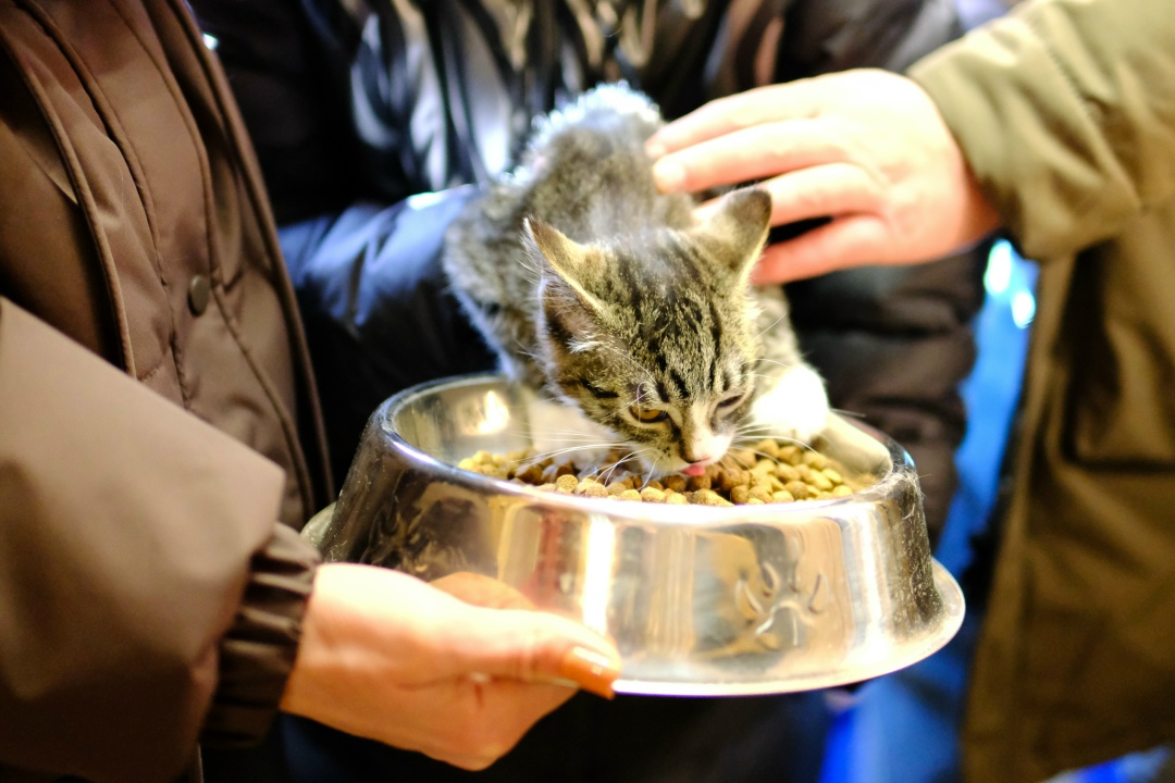 Волонтеры Амурского ГПЗ помогли Свободненскому центру передержки бездомных животных