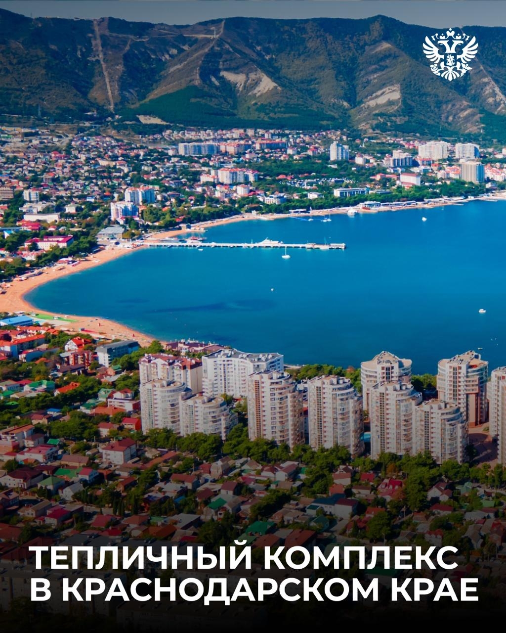 Вот тут у нас огурчики растут, тут помидорки... А там мы редиску кубанскую посадили