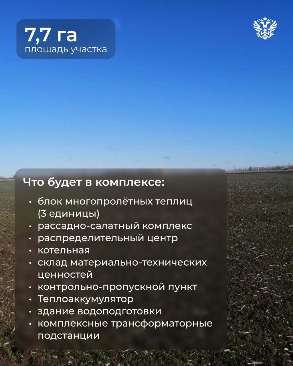 Вот тут у нас огурчики растут, тут помидорки... А там мы редиску кубанскую посадили