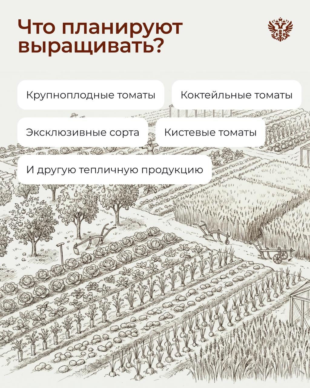 Вот тут у нас огурчики растут, тут помидорки... А там мы редиску кубанскую посадили