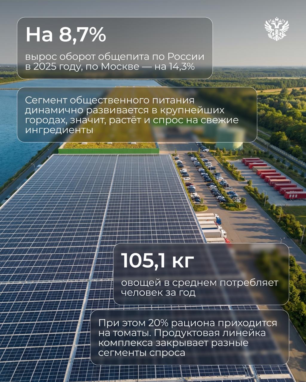 Вот тут у нас огурчики растут, тут помидорки... А там мы редиску кубанскую посадили