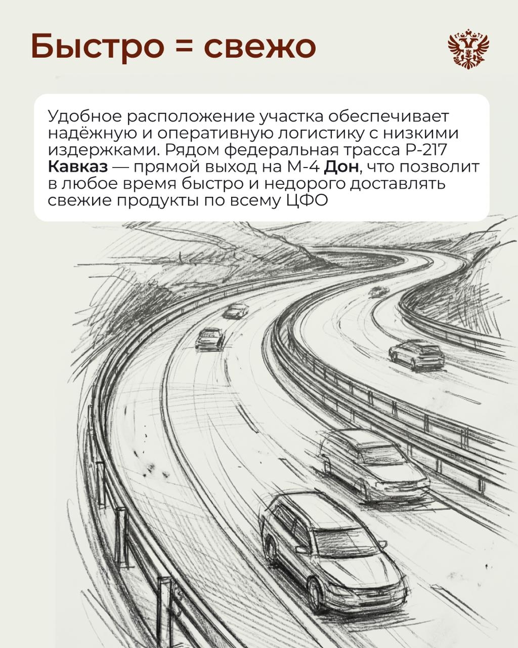 Вот тут у нас огурчики растут, тут помидорки... А там мы редиску кубанскую посадили