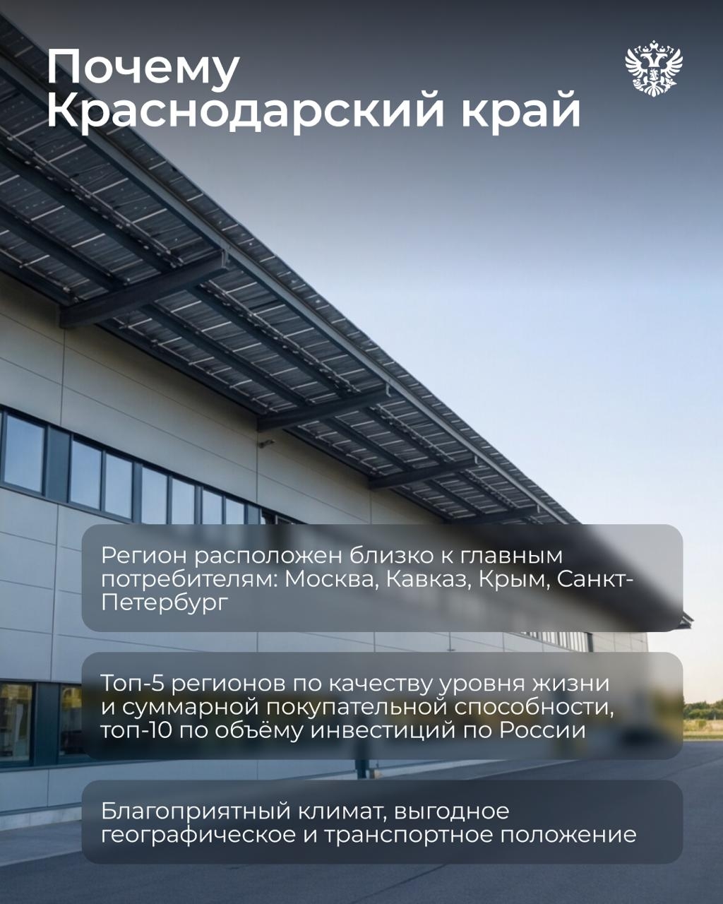 Вот тут у нас огурчики растут, тут помидорки... А там мы редиску кубанскую посадили