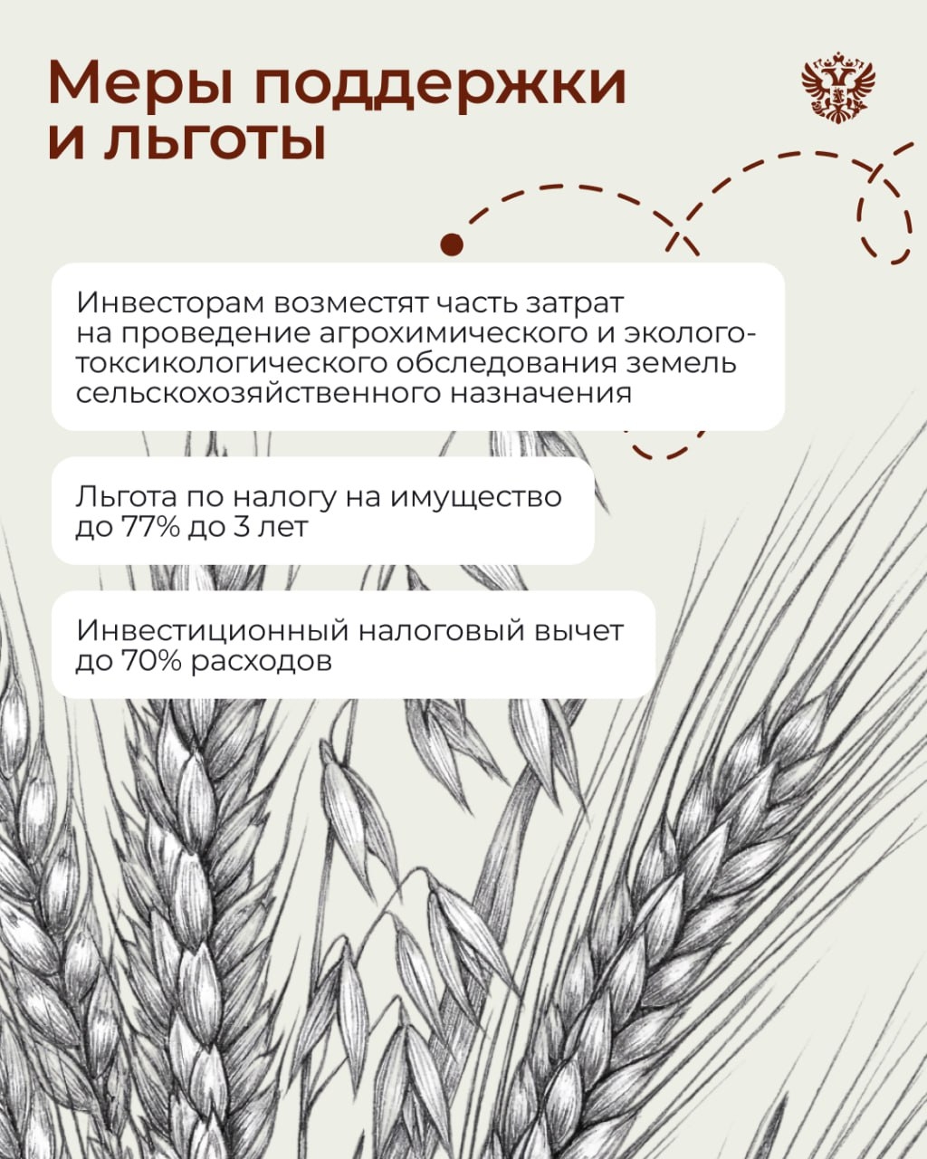 Вот тут у нас огурчики растут, тут помидорки... А там мы редиску кубанскую посадили