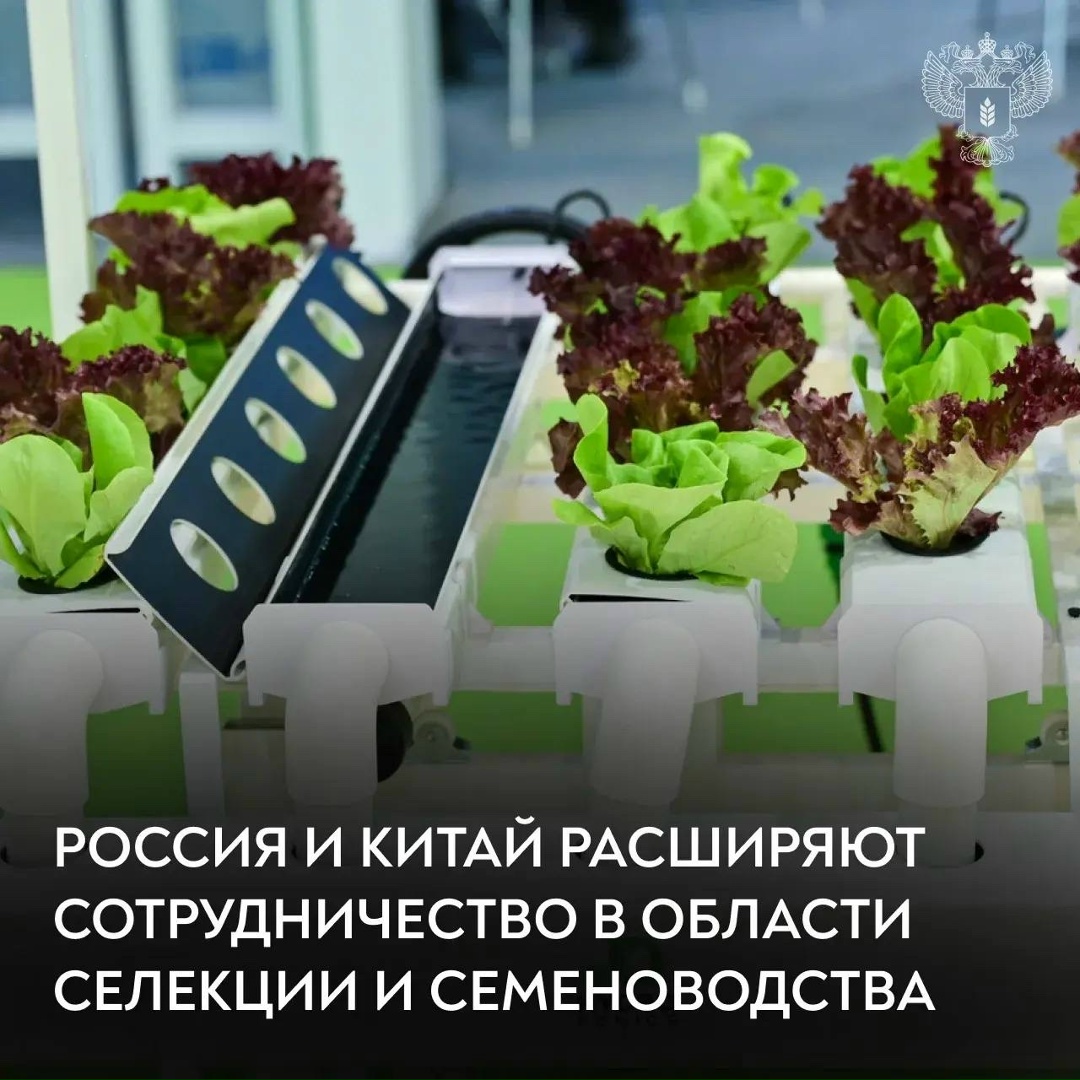 Замминистра Марина Афонина в рамках рабочего визита в Китай ознакомилась с работой Шанхайской академии сельскохозяйственных наук и провела встречу с…