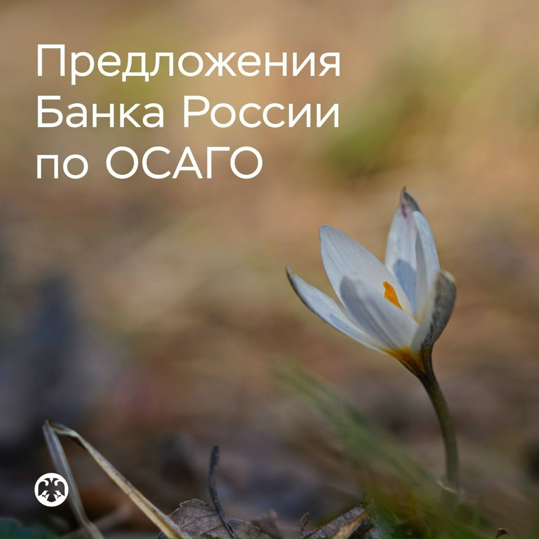 Выплаты по ОСАГО возрастут в результате изменения правил определения расходов на ремонт