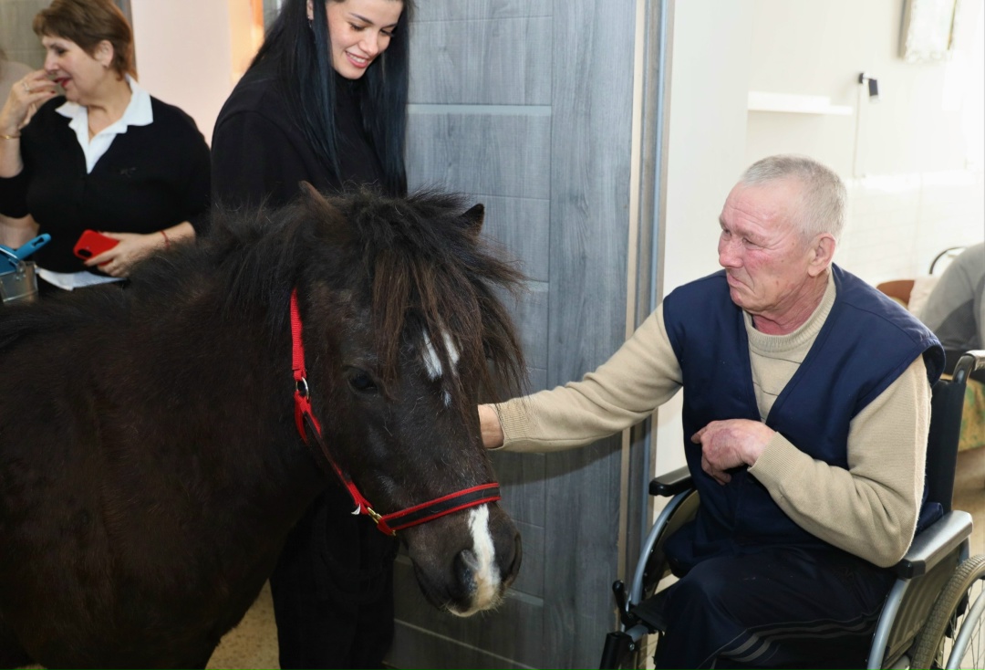Маленькая Пенелопа и большая радость: в доме-интернате в Актюбинском прошел необычный сеанс ипповенции
