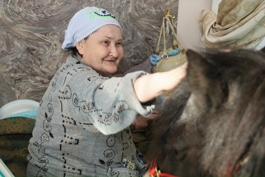 Маленькая Пенелопа и большая радость: в доме-интернате в Актюбинском прошел необычный сеанс ипповенции
