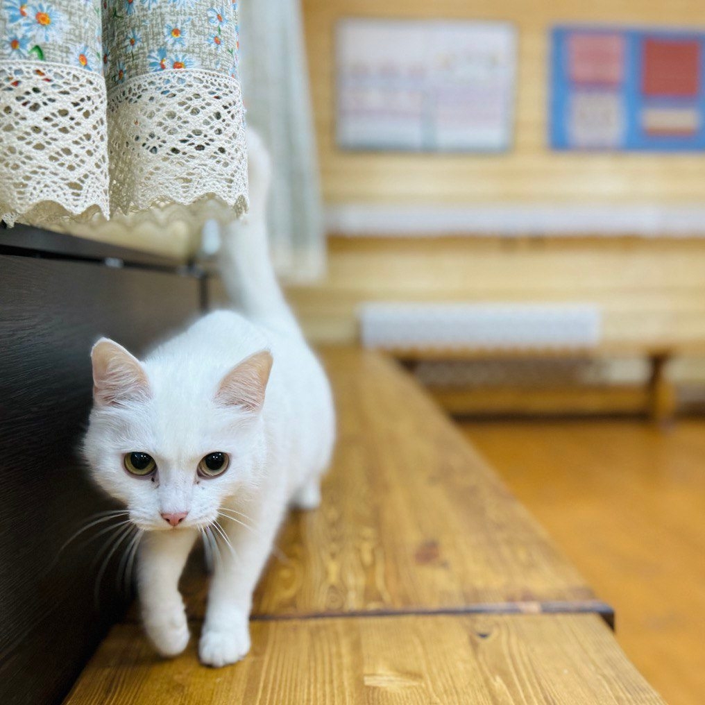 Концерты, кружки, выставки и репетиции — даже в небольших селах культурная жизнь не замирает круглый год. Она объединяет людей в любой сезон и при любой погоде