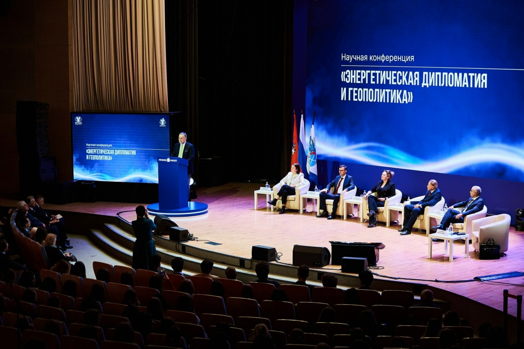 Ключевые направления развития энергодиалога на многосторонних площадках представила директор по международной деятельности РЭА Минэнерго России Елена Викулова…