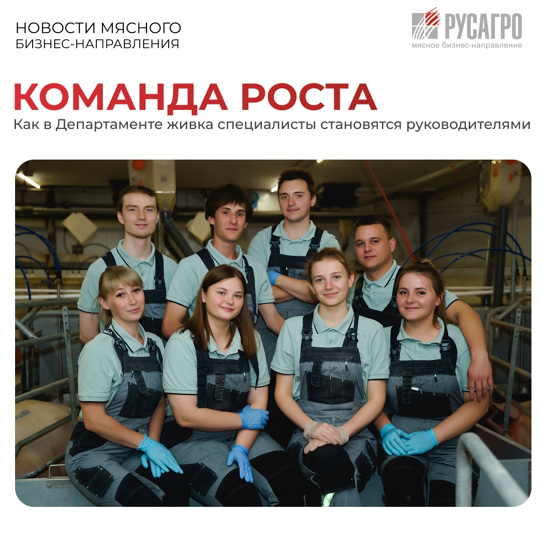 В Департаменте живка Мясного бизнеса «Русагро» работает сильная команда профессионалов