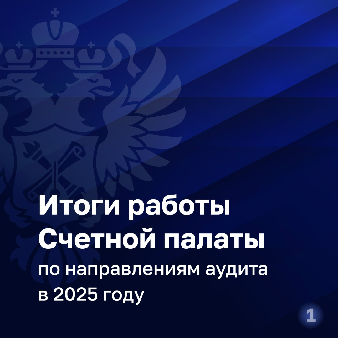 В течение 2025 года Счетная палата провела 228 контрольных и 48 экспертно-аналитических мероприятий