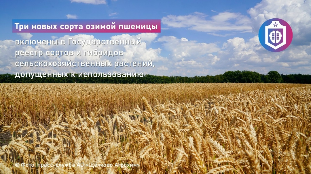 #Когнитивная_Витаминка Выпуск № 318 20.03.2026