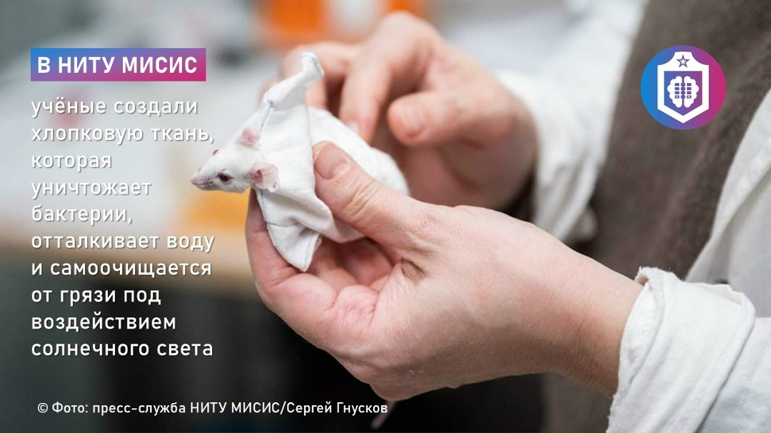 #Когнитивная_Витаминка Выпуск № 318 20.03.2026