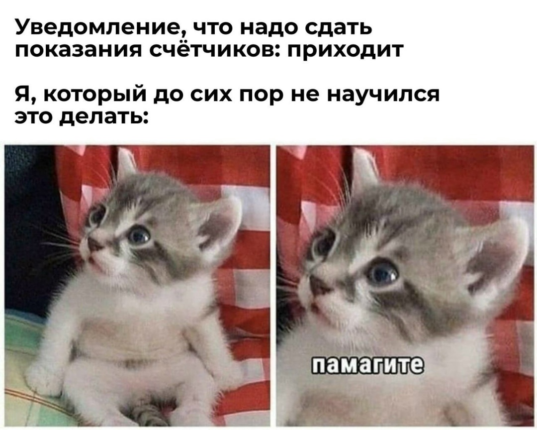 Мы вспоминаем о коммунальных услугах всего в 2 случаях: когда приходит платёжка и когда что-то отключают