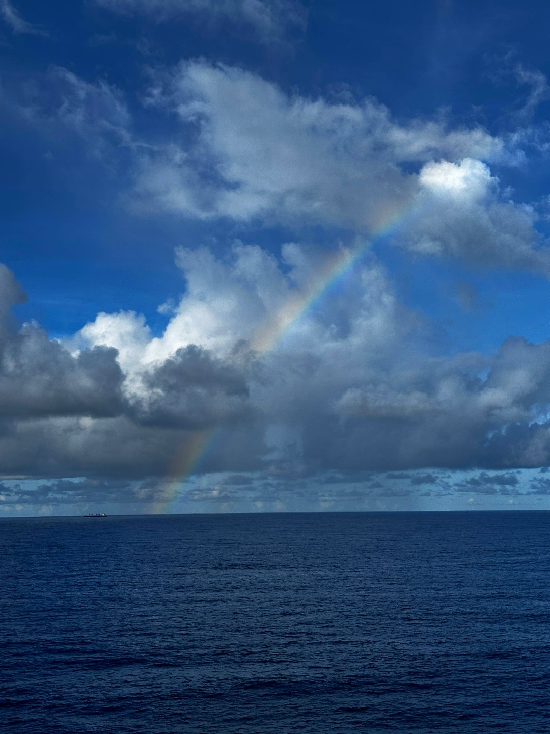 Эту подборку фотографий можно рассматривать бесконечно!