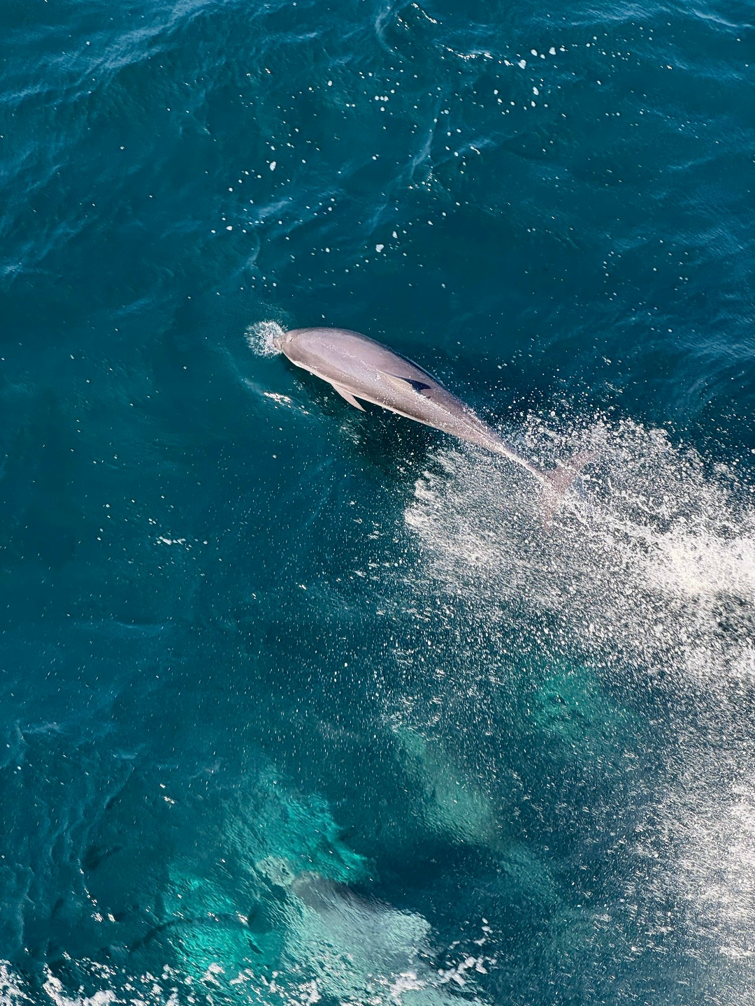 Эту подборку фотографий можно рассматривать бесконечно!