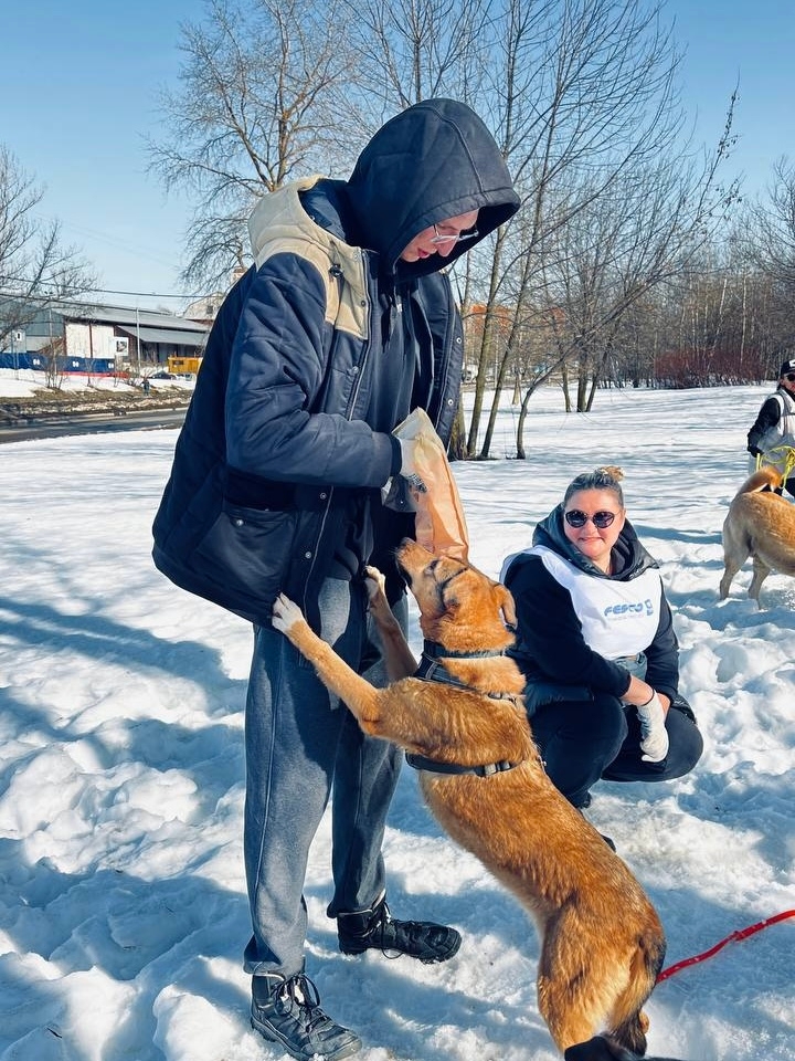 Зарядились позитивом в приюте «Бирюлёво»!