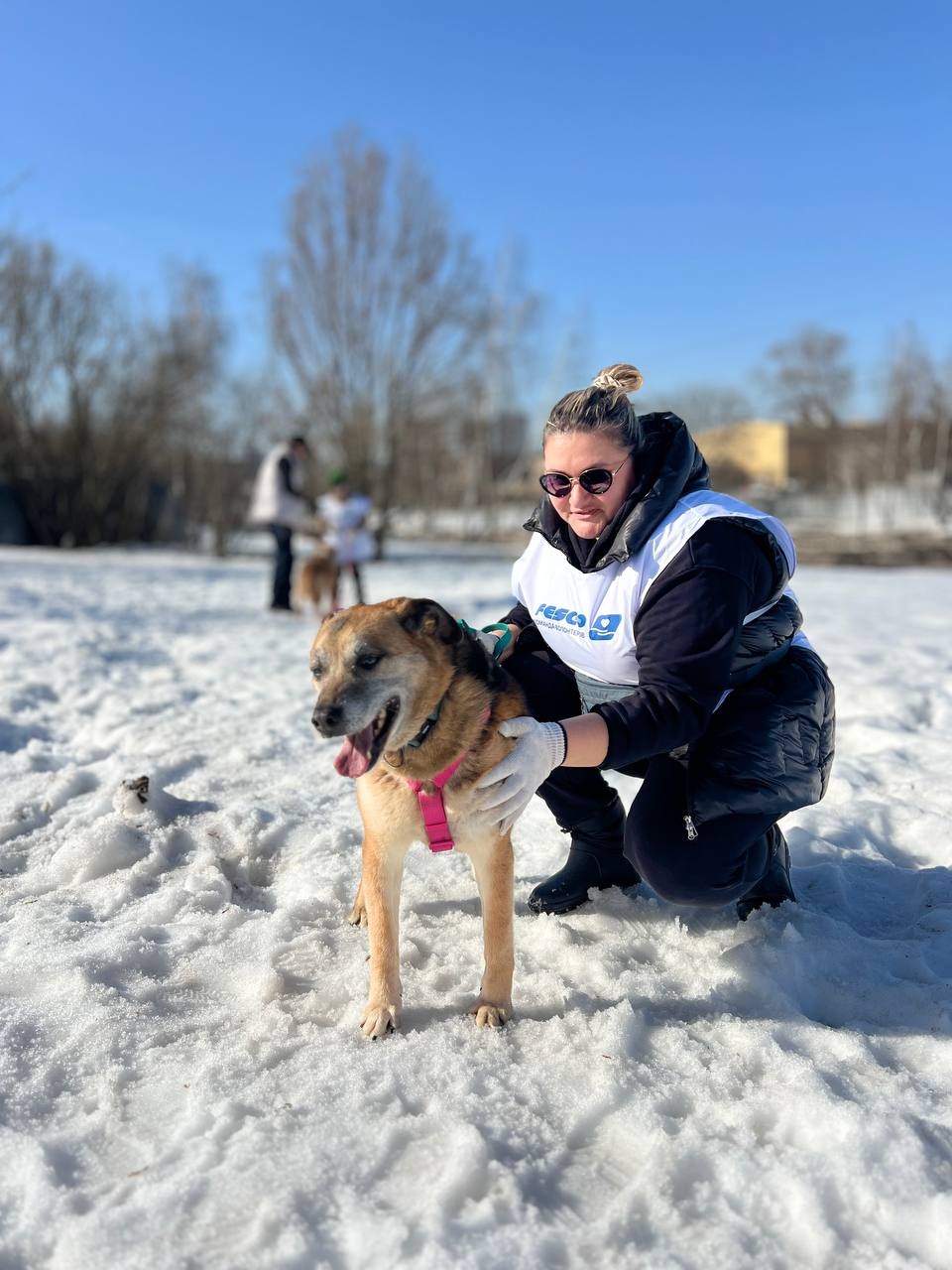 Зарядились позитивом в приюте «Бирюлёво»!