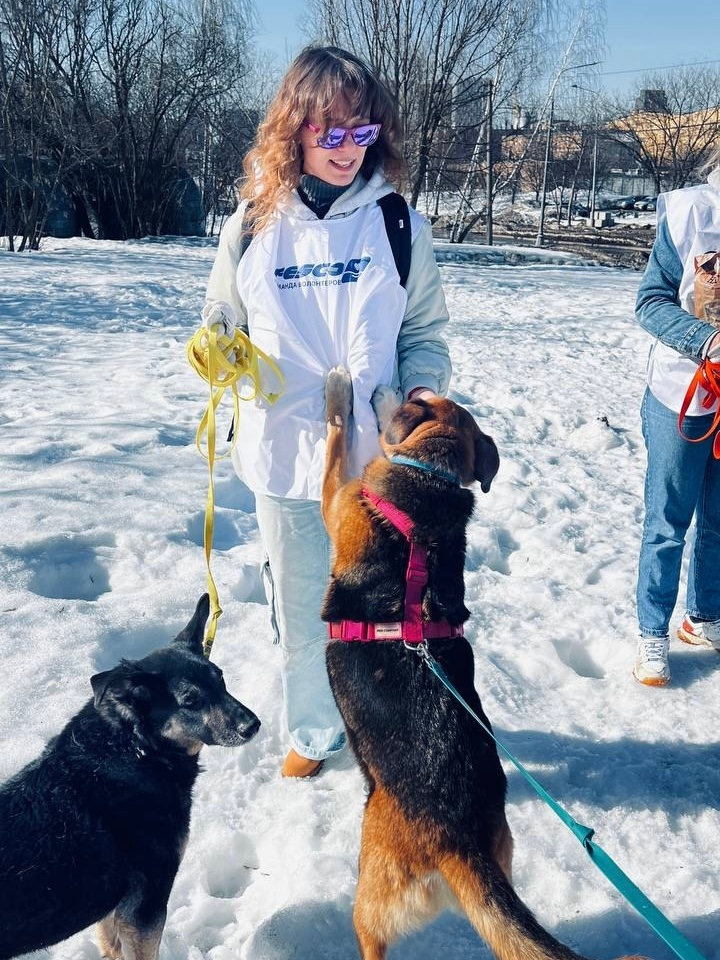 Зарядились позитивом в приюте «Бирюлёво»!