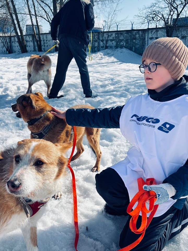 Зарядились позитивом в приюте «Бирюлёво»!