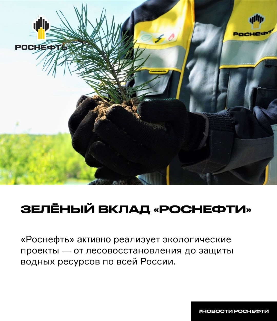 «Роснефть» с заботой о природе Предприятия «Роснефти» за пять лет высадили около 46 млн деревьев, и только в 2025 году — ещё 8,1 млн саженцев.