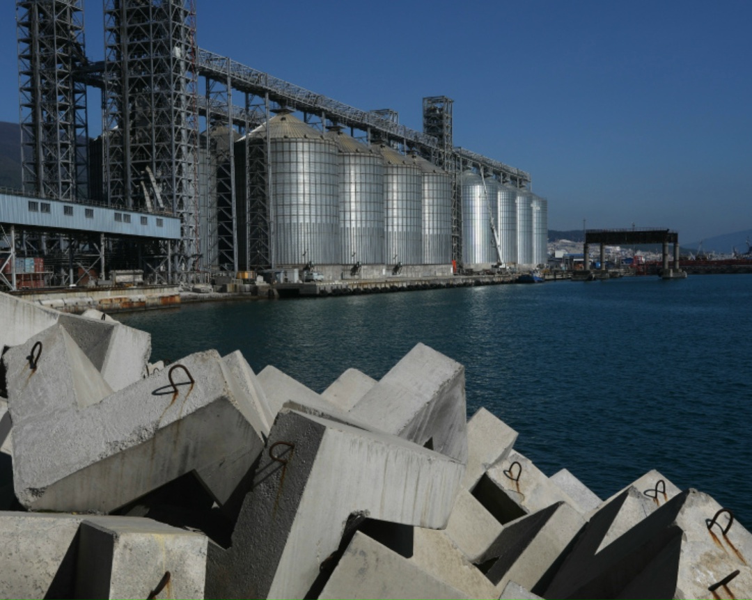 Экспортные цены на российскую пшеницу (12,5% протеина, FOB Новороссийск) с поставкой в конце апреля-начале мая составляют $238/т — без изменений за неделю. Об…