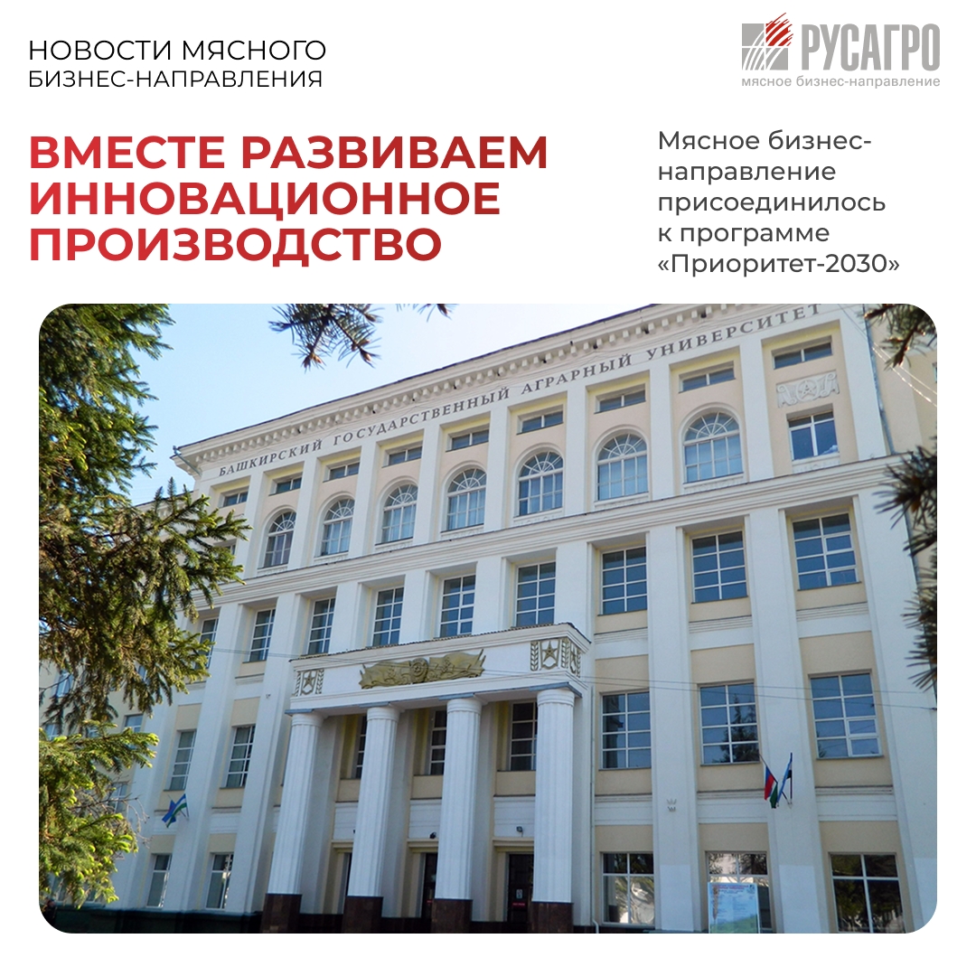 Мясной бизнес «Русагро» стал партнером Башкирского государственного аграрного университета (БашГАУ) в рамках проекта «Цифровая трансформация селекции в…
