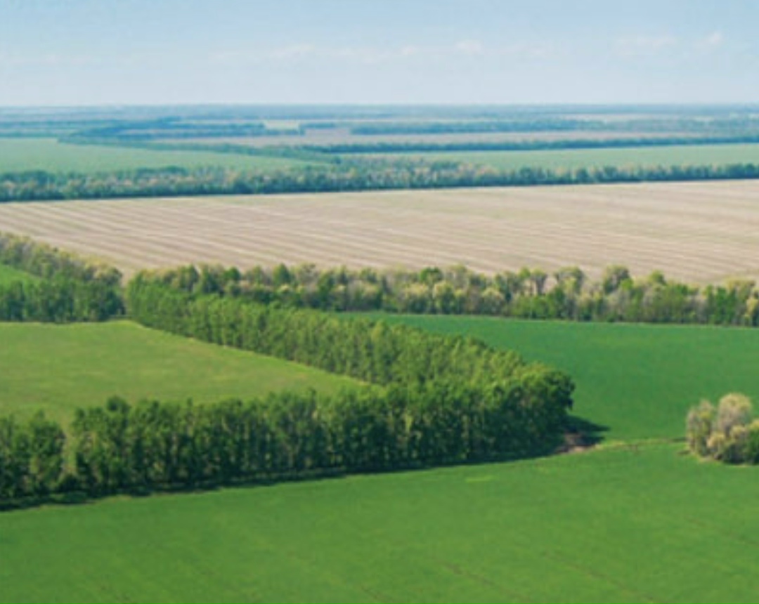 В Калининградской области в ближайшие пять лет будет реализовано около 20 крупных инвестиционных проектов в агросекторе, общие вложения оцениваются в 170 млрд…
