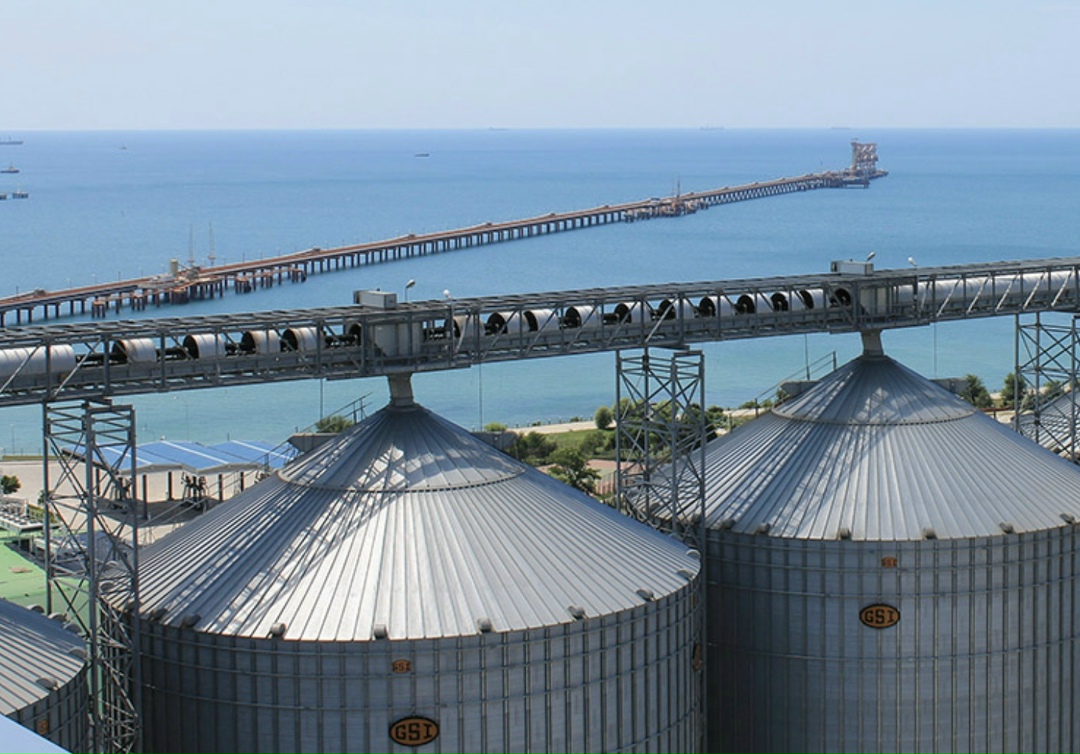 Развитие инфраструктуры хранения зерна в 2026—2030 годах будет сосредоточено в Приволжском федеральном округе, Центральной России и Сибири — именно эти…