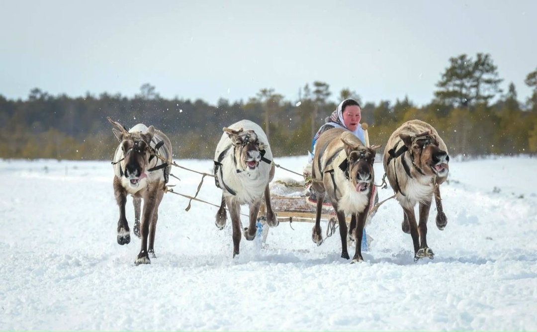 Место рождения ЛУКОЙЛа — в Год единства народов