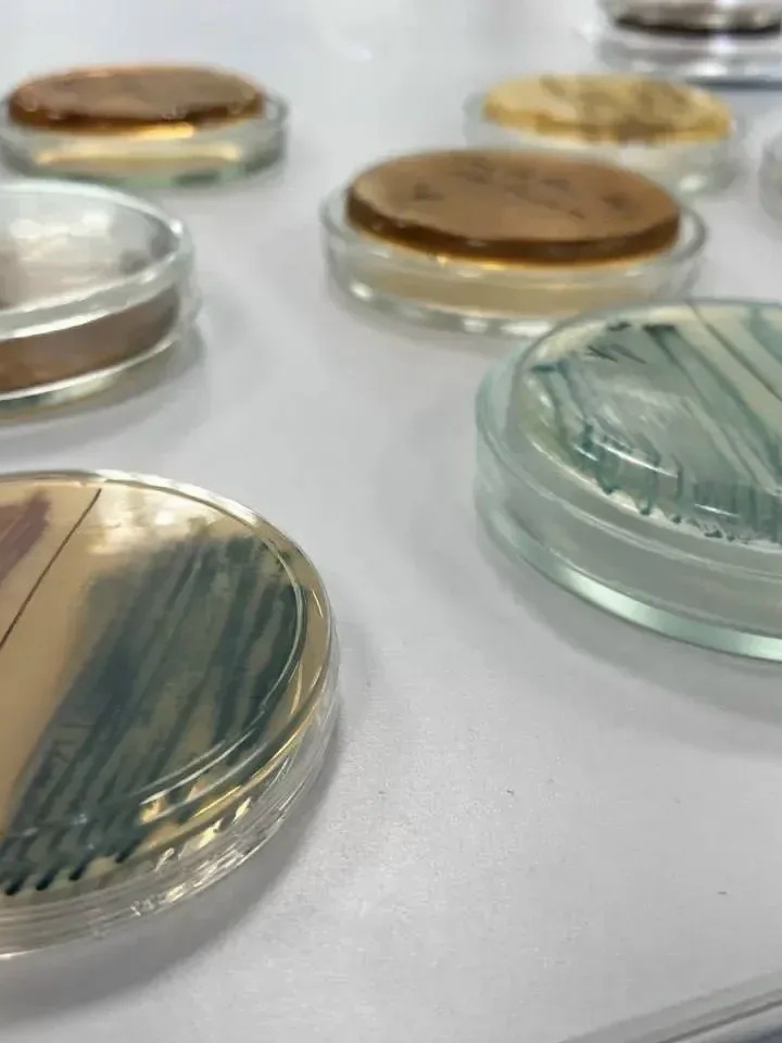 Сегодня среда, а значит... #НаучнаяСреда