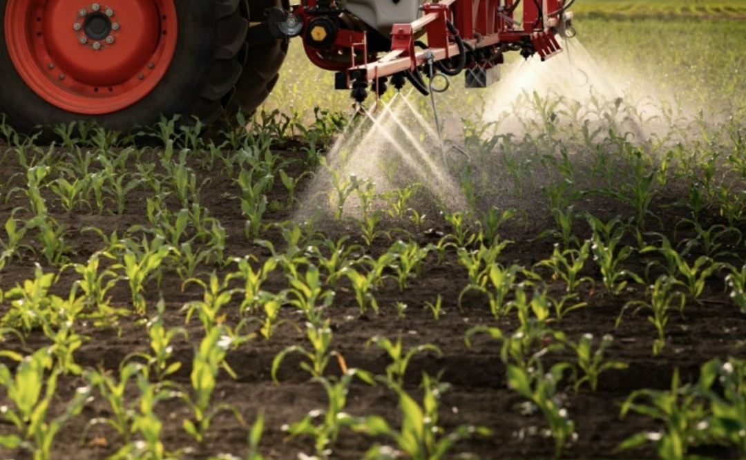 Госдума в третьем чтении одобрила внесение поправок в закон «О безопасном обращении с пестицидами и агрохимикатами». Изменения направлены на пресечение…