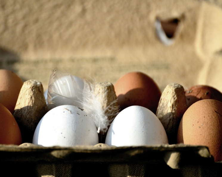 ФАС предостерегла ритейлеров от необоснованного повышения цен в периоды повышенного спроса, в частности перед Пасхой. Служба обратила внимание участников рынка…