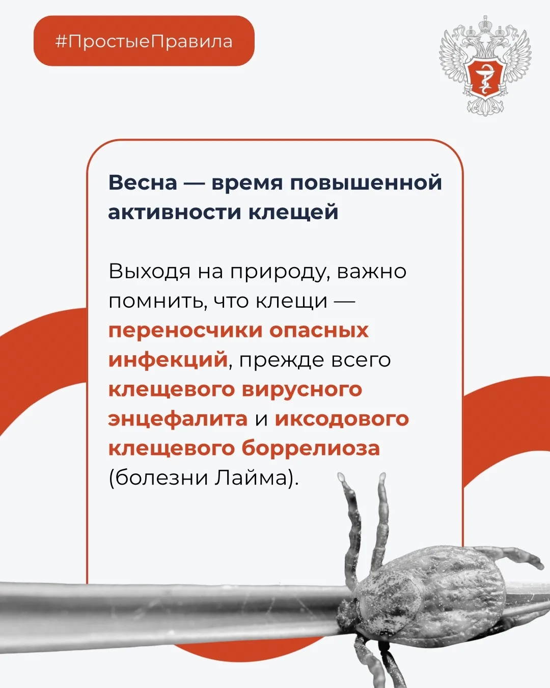 #ПростыеПравила: Что делать при укусе клеща?