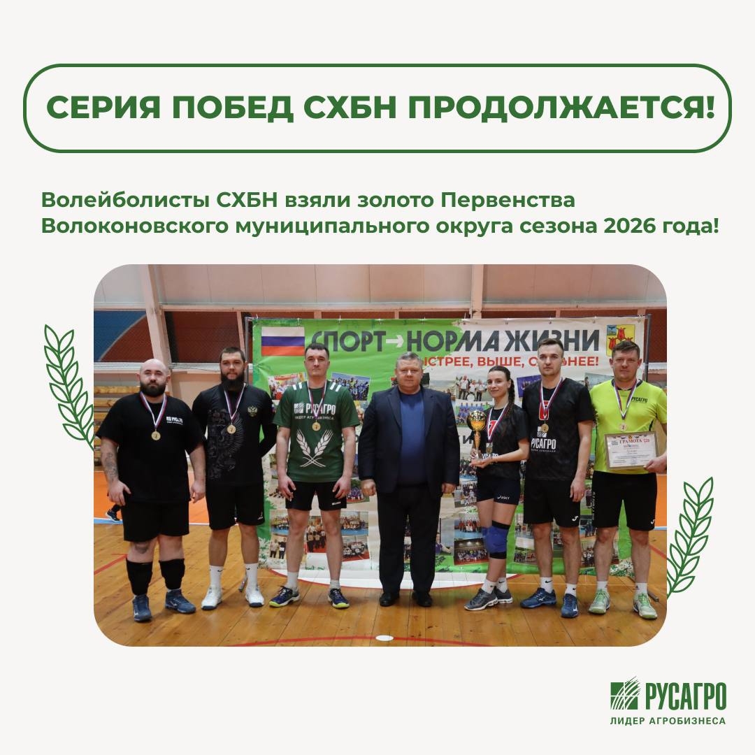 Серия побед нашей команды продолжается — волейболисты СХБН взяли золото Первенства Волоконовского муниципального округа сезона 2026 года!