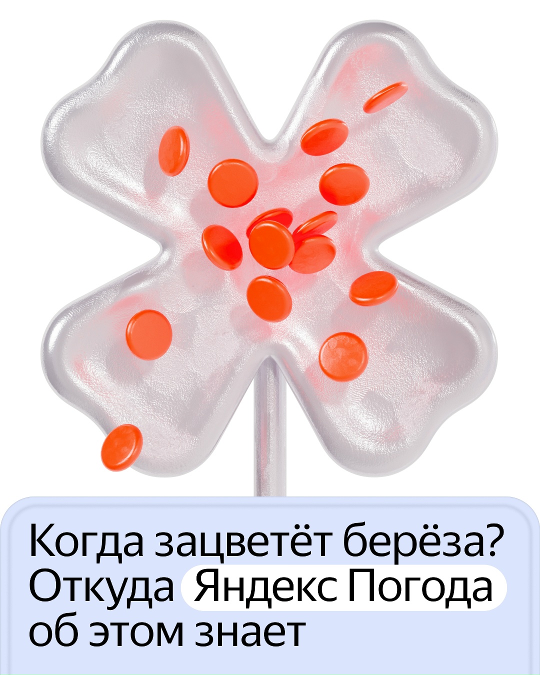 Апчхи! Аллергики по всей России теперь могут отслеживать цветение ещё двух растений