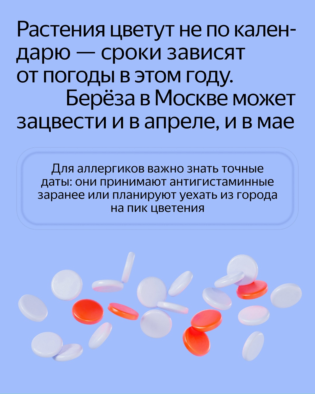 Апчхи! Аллергики по всей России теперь могут отслеживать цветение ещё двух растений
