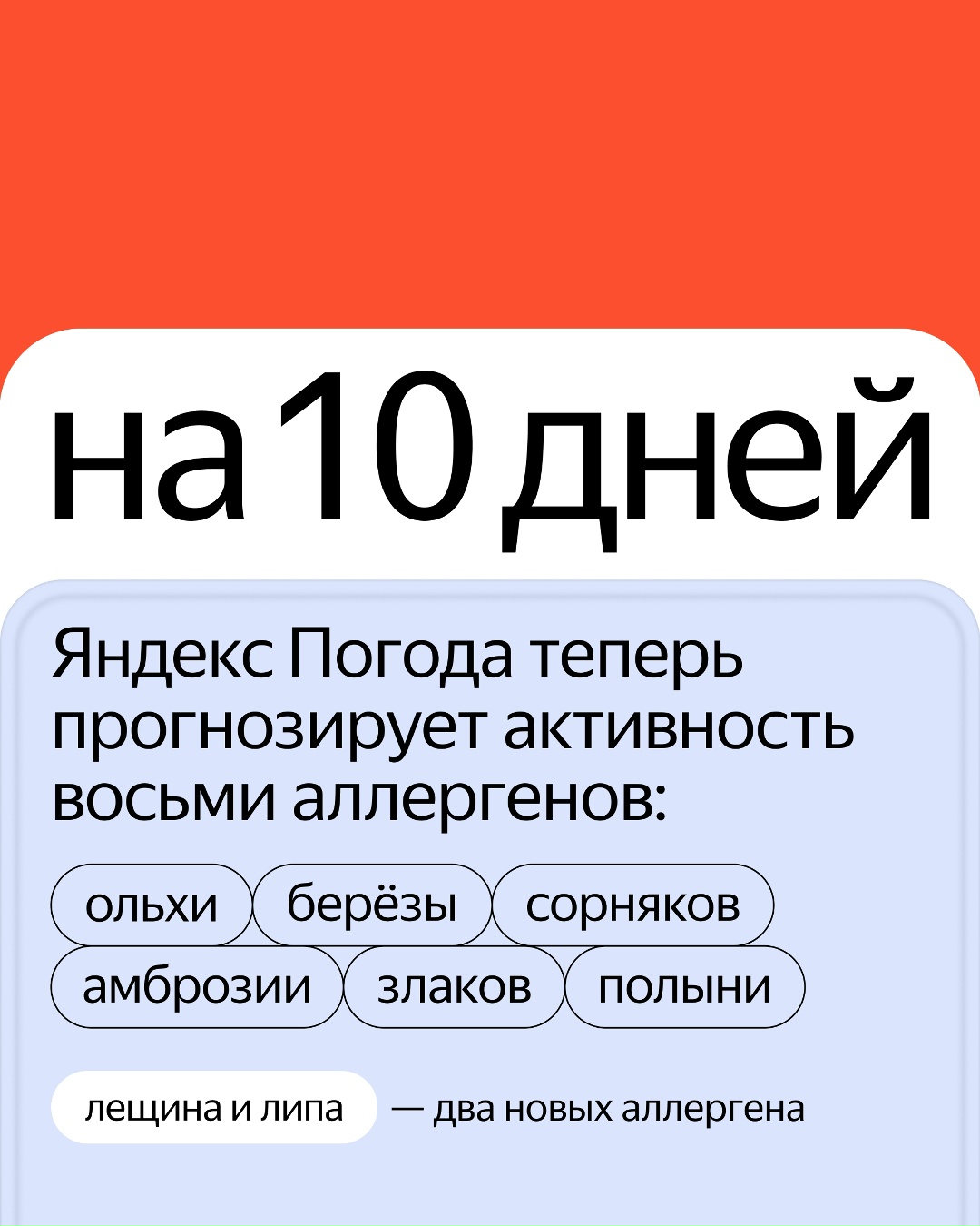 Апчхи! Аллергики по всей России теперь могут отслеживать цветение ещё двух растений