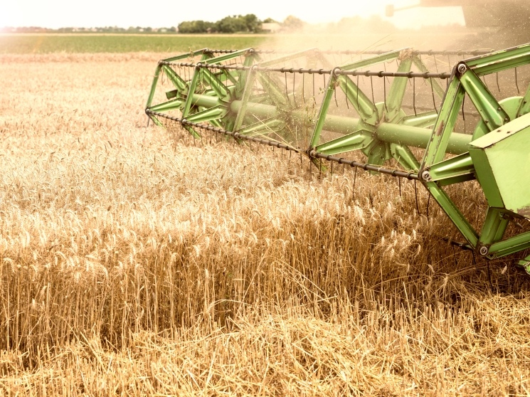 В 2025 году сельское хозяйство недополучило более 100 млрд руб. прибыли. Среди ключевых причин — дисбаланс цен на сельхозпродукцию и материально-технические…