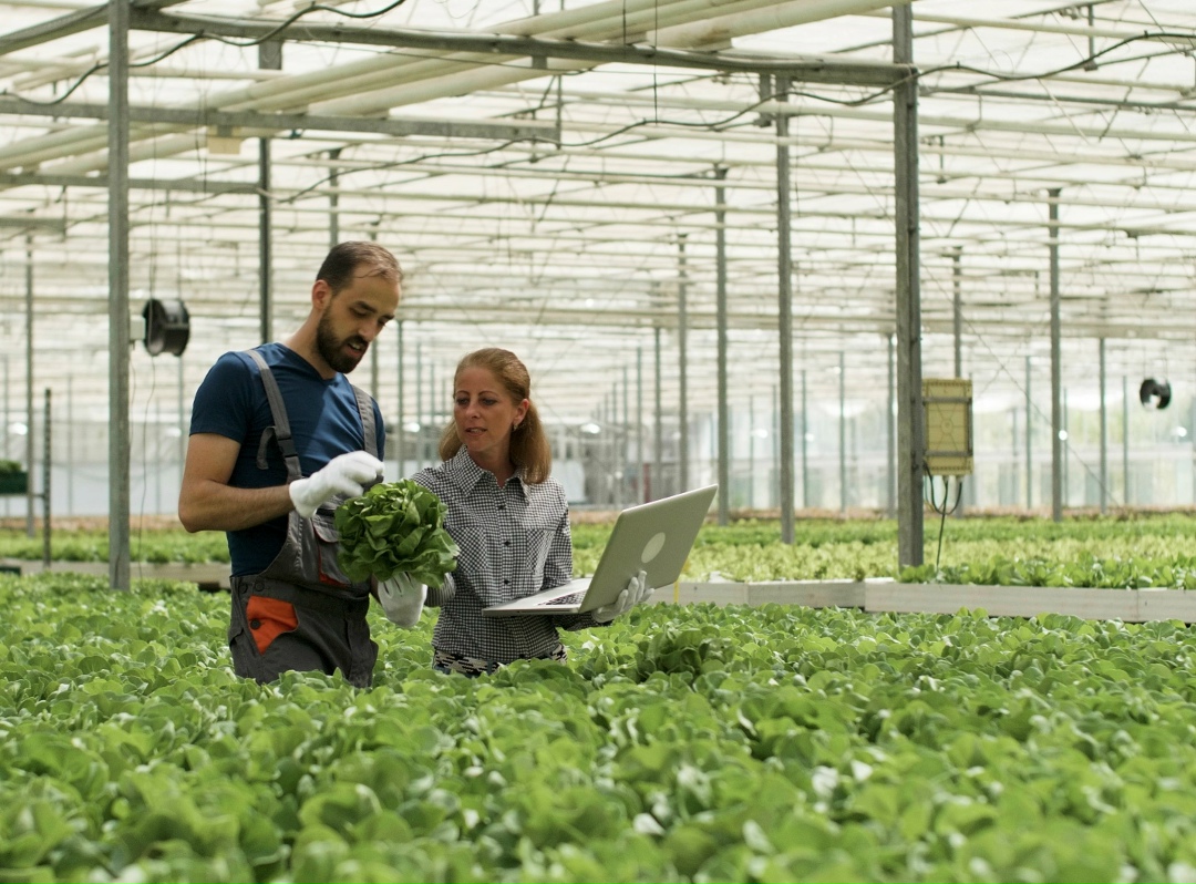 Россельхозбанк и Российская академия наук (РАН) заключили соглашение о сотрудничестве