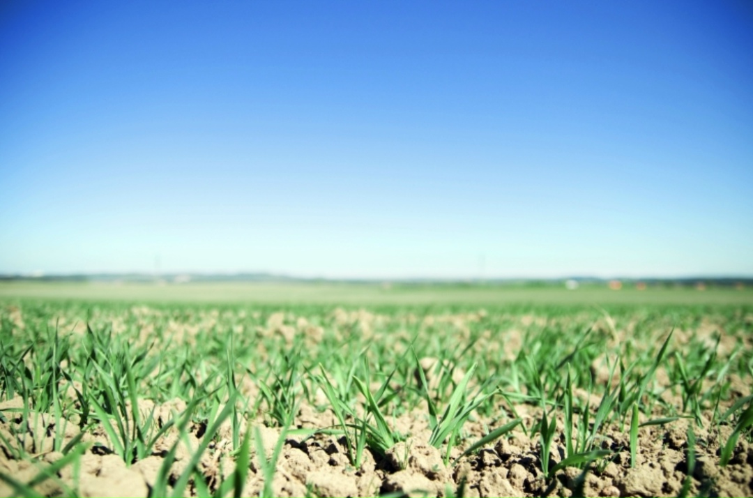 Депутаты заксобрания Краснодарского края приняли в первом чтении законопроект, который регламентирует организацию и проведение работ в гидрометеорологии и…