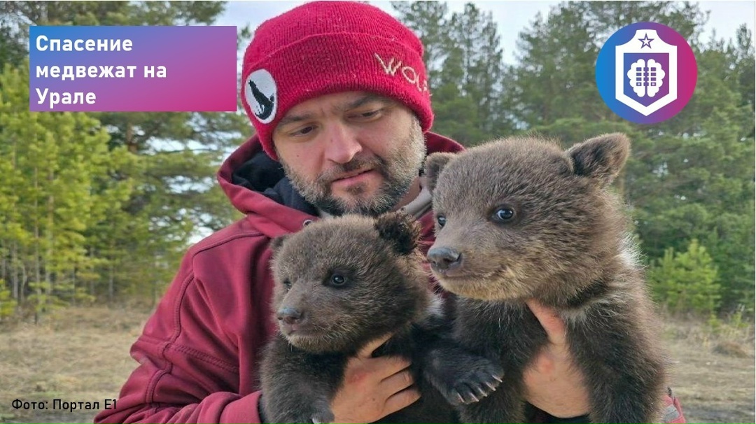 #Когнитивная_Витаминка Выпуск № 320 27.03.2026