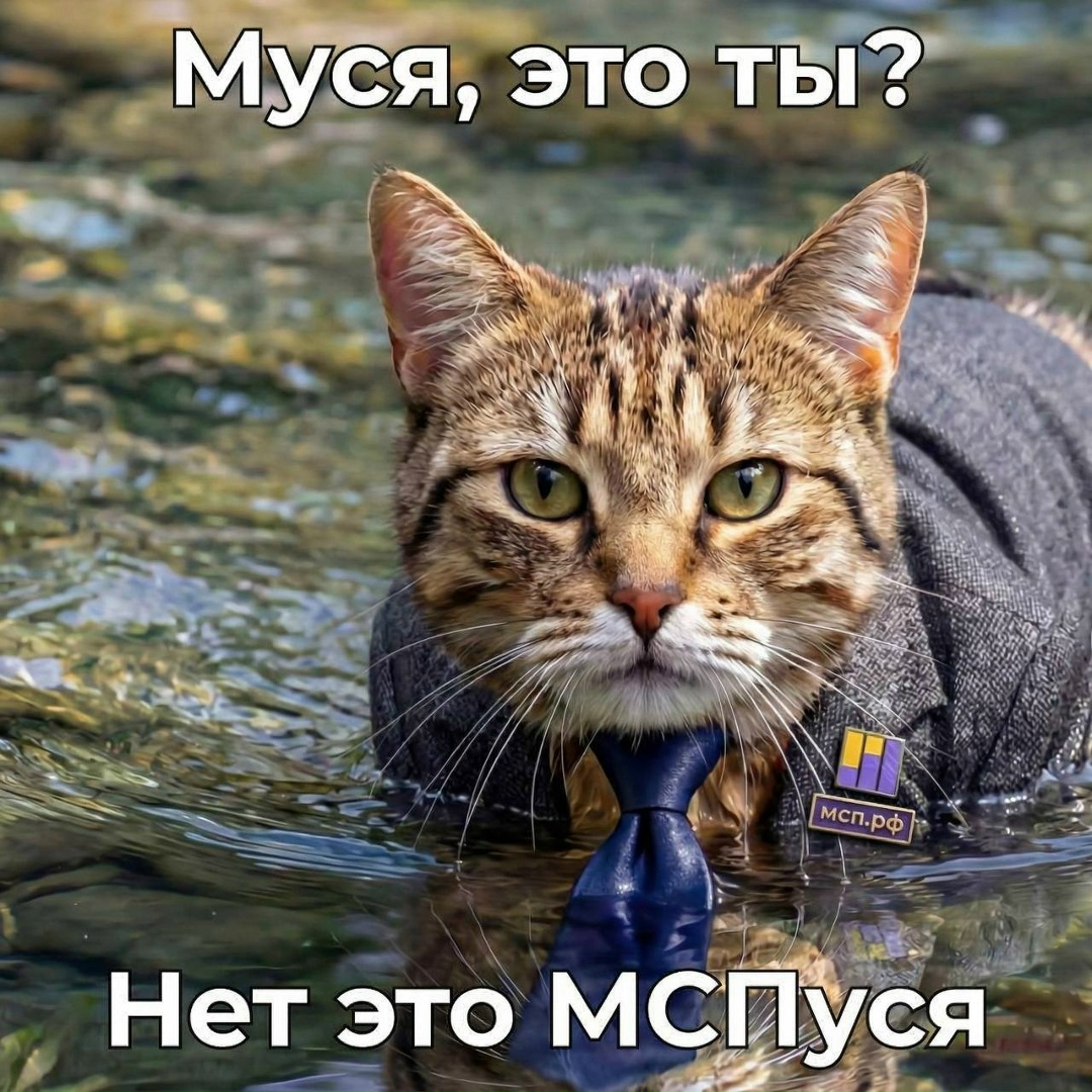 Куда она плывёт? Туда, где развивается малый и средний бизнес